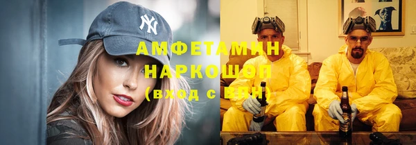 индика Волосово