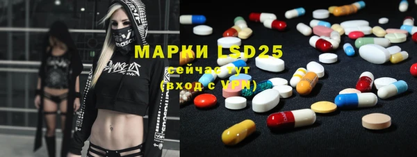индика Волосово
