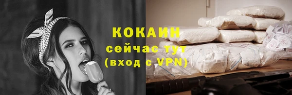 индика Волосово