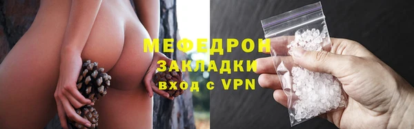 индика Волосово