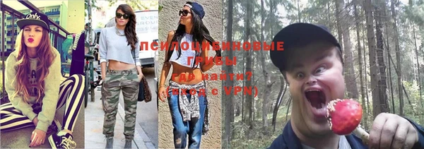 дмт Володарск