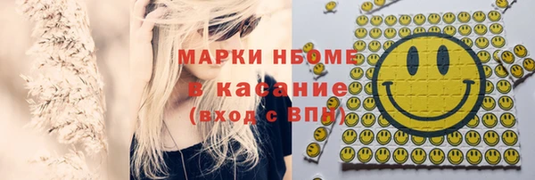 индика Волосово