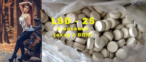 индика Волосово